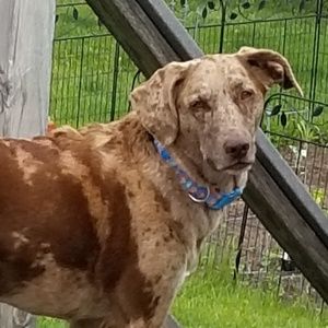 Meet your Posher, Jayden